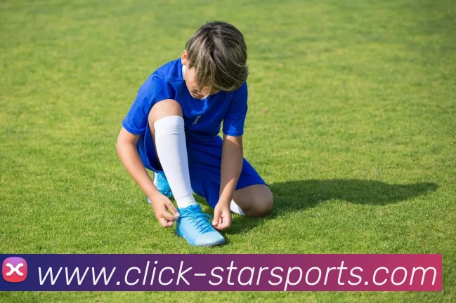 星空体育官网APP 封面图